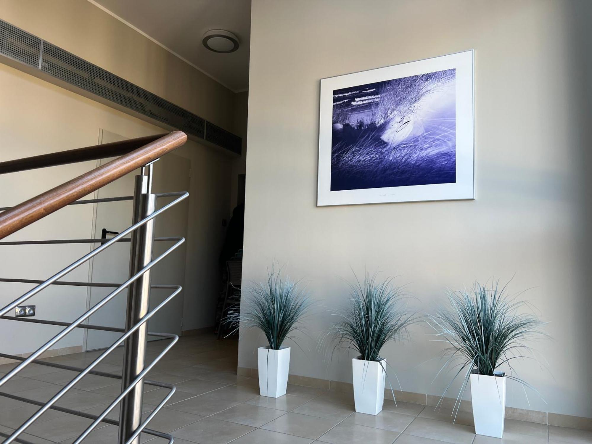 Apartament "Rezydencja Park" W Mielnie Mielno  Buitenkant foto